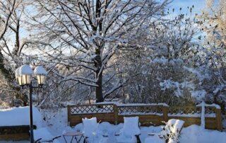 Gartenpflege im Winter 