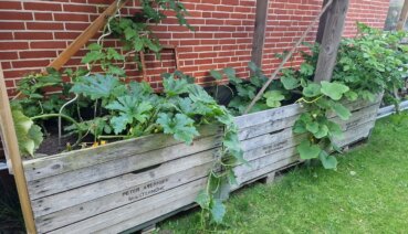 Hochbeete: Der perfekte Garten für jeden Platz