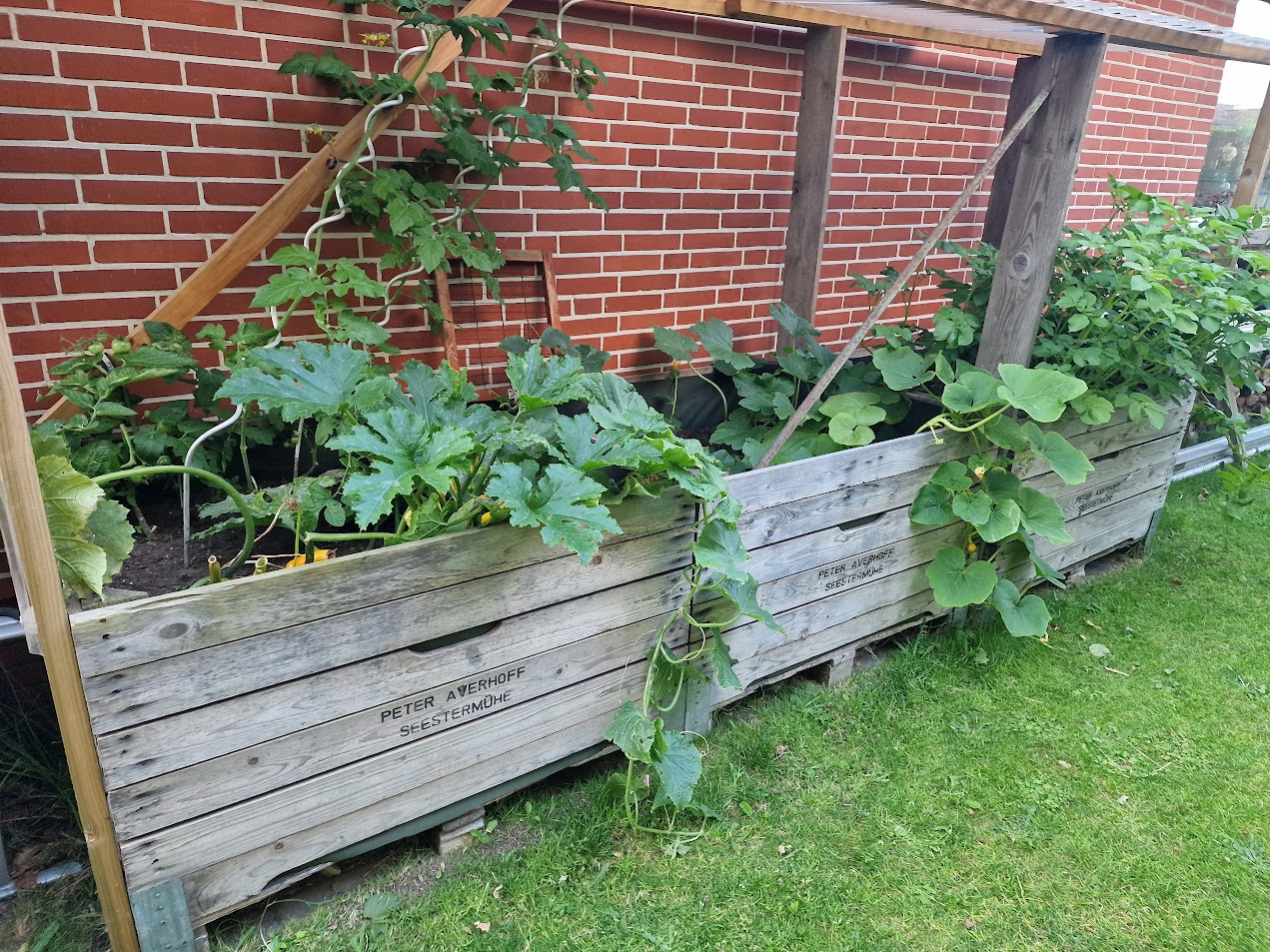 Hochbeete: Der perfekte Garten für jeden Platz