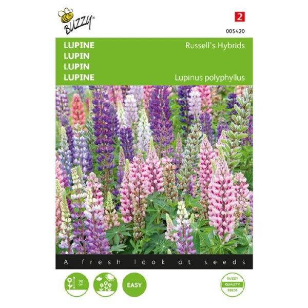 Lupine - Russell’s Hybriden, Mischung