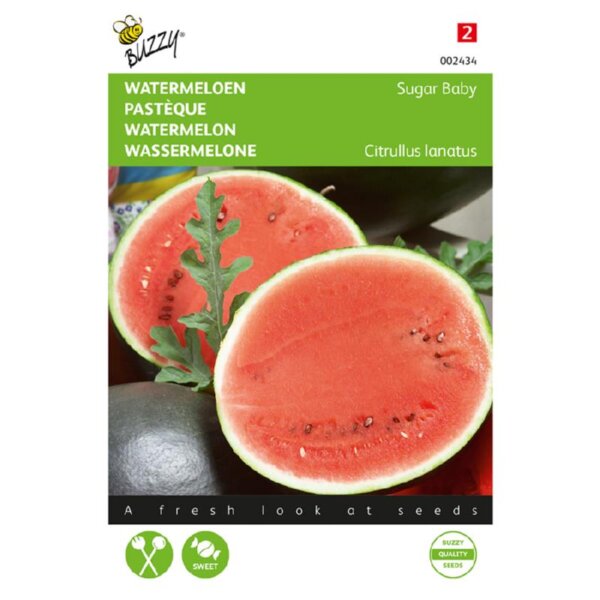 Buzzy Wassermelone Suger Baby